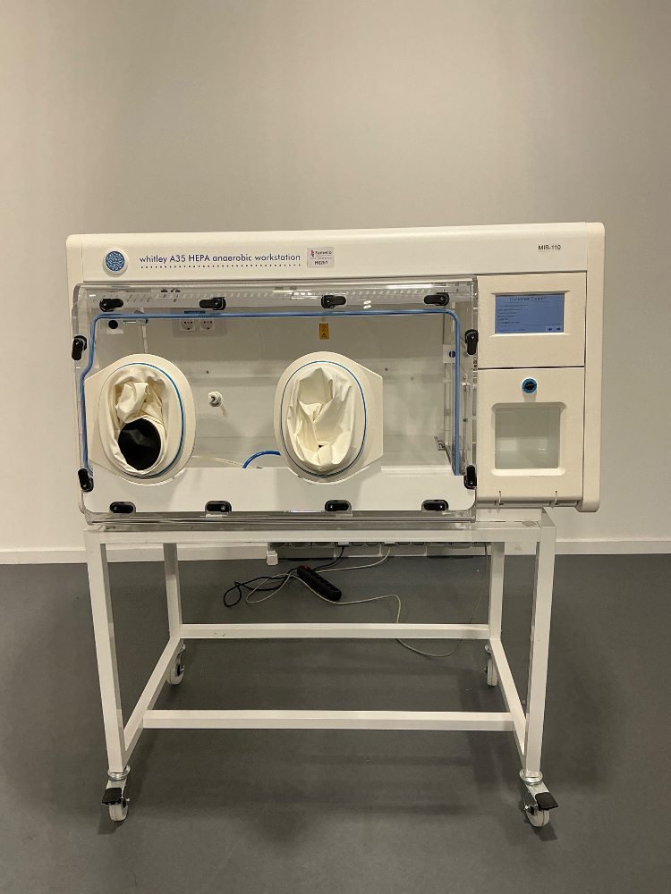 Image of Don Whitley Scientific A35 HEPA anaerobic workstation